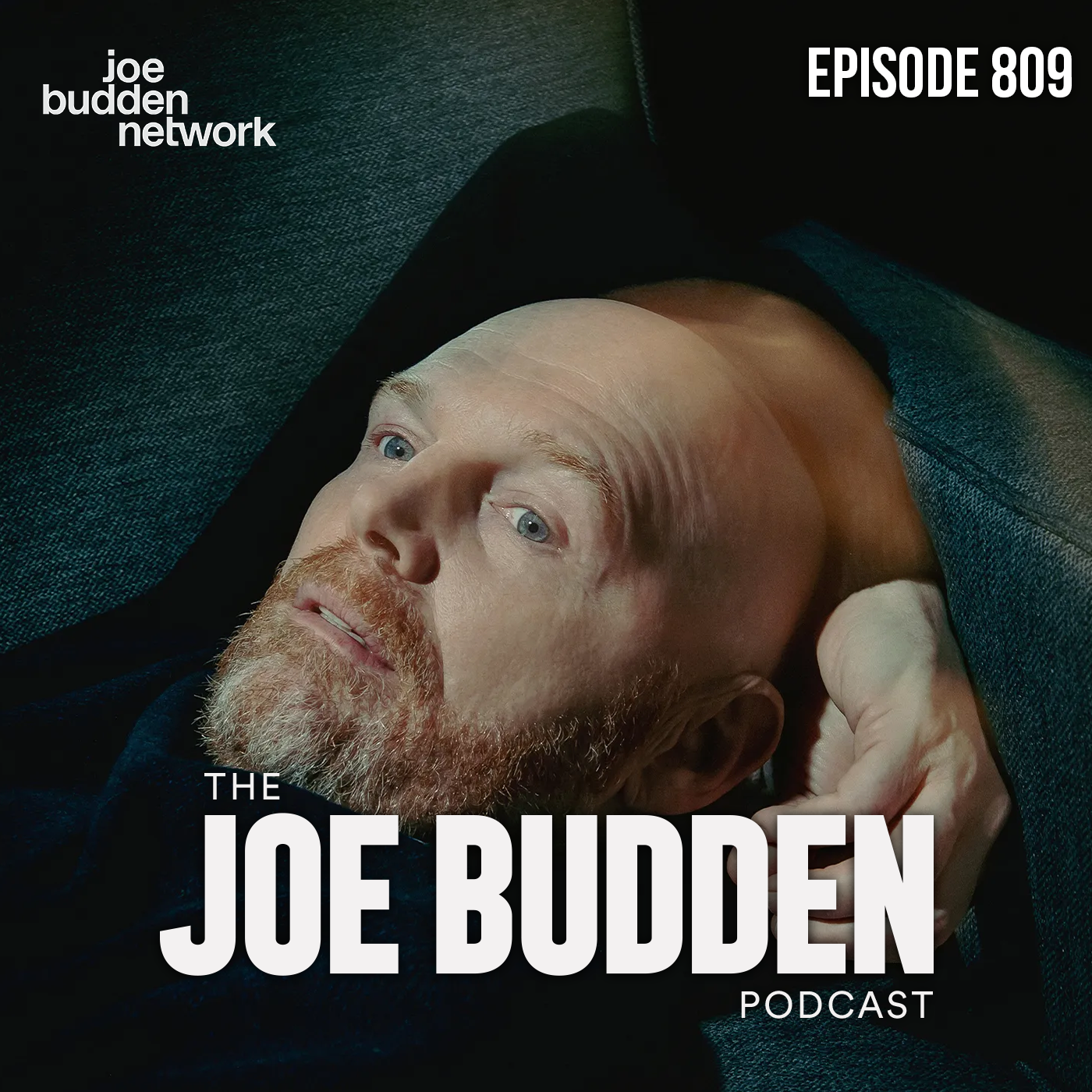 Episode 809 | "Willfully Obtuse"