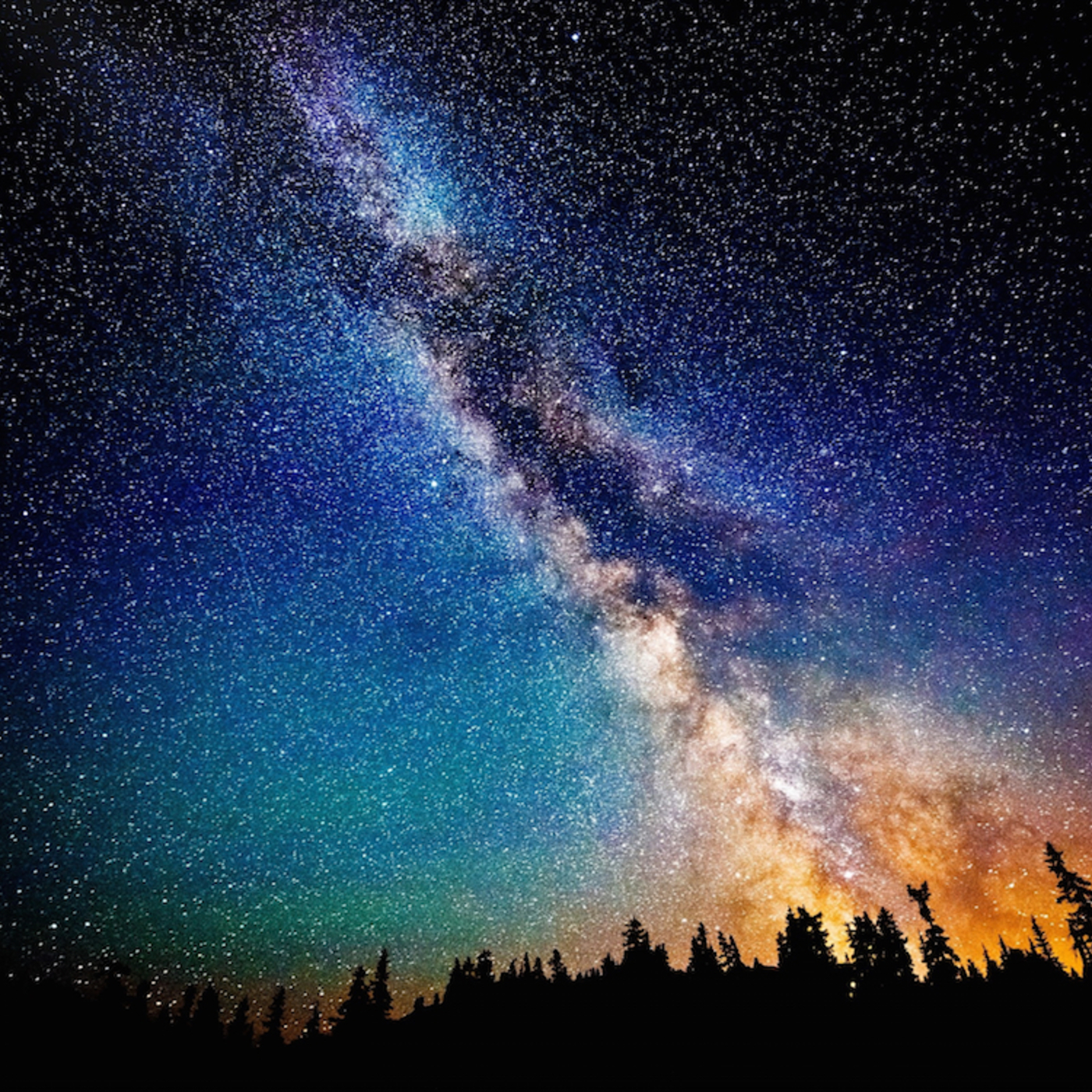 #18 — The Multiverse & You (& You & You & You...)