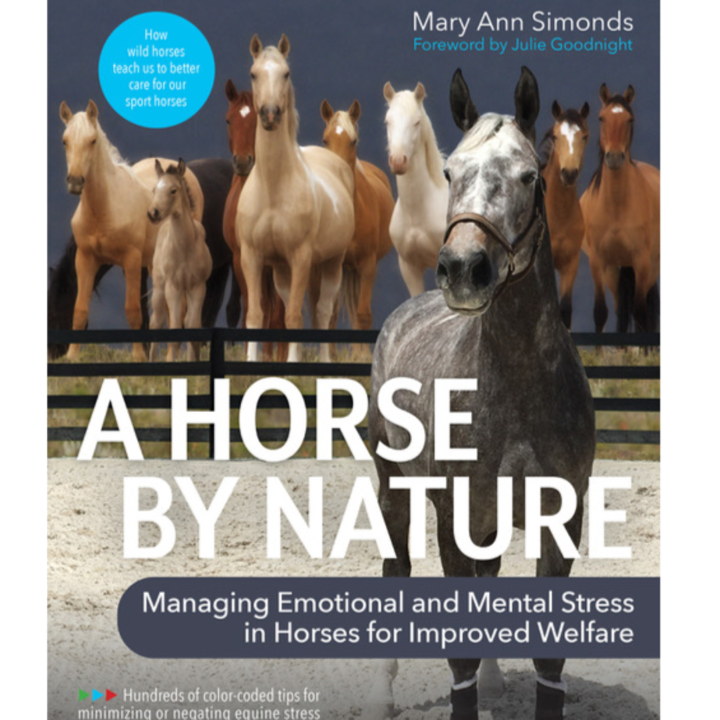 Mary Ann Simonds: Horse-human interactions and communication by Camron Adibi