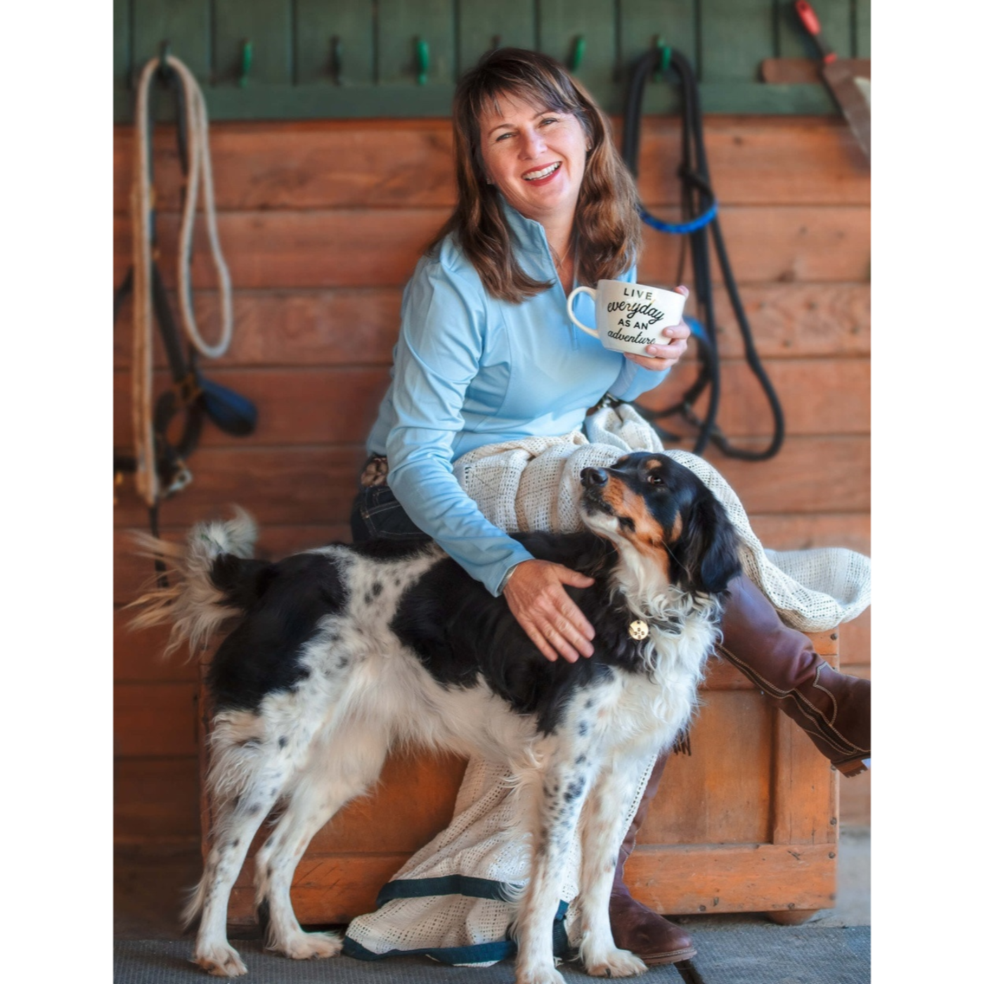 Authentic Partnership: Let Horses Be Horses! by Camron Adibi