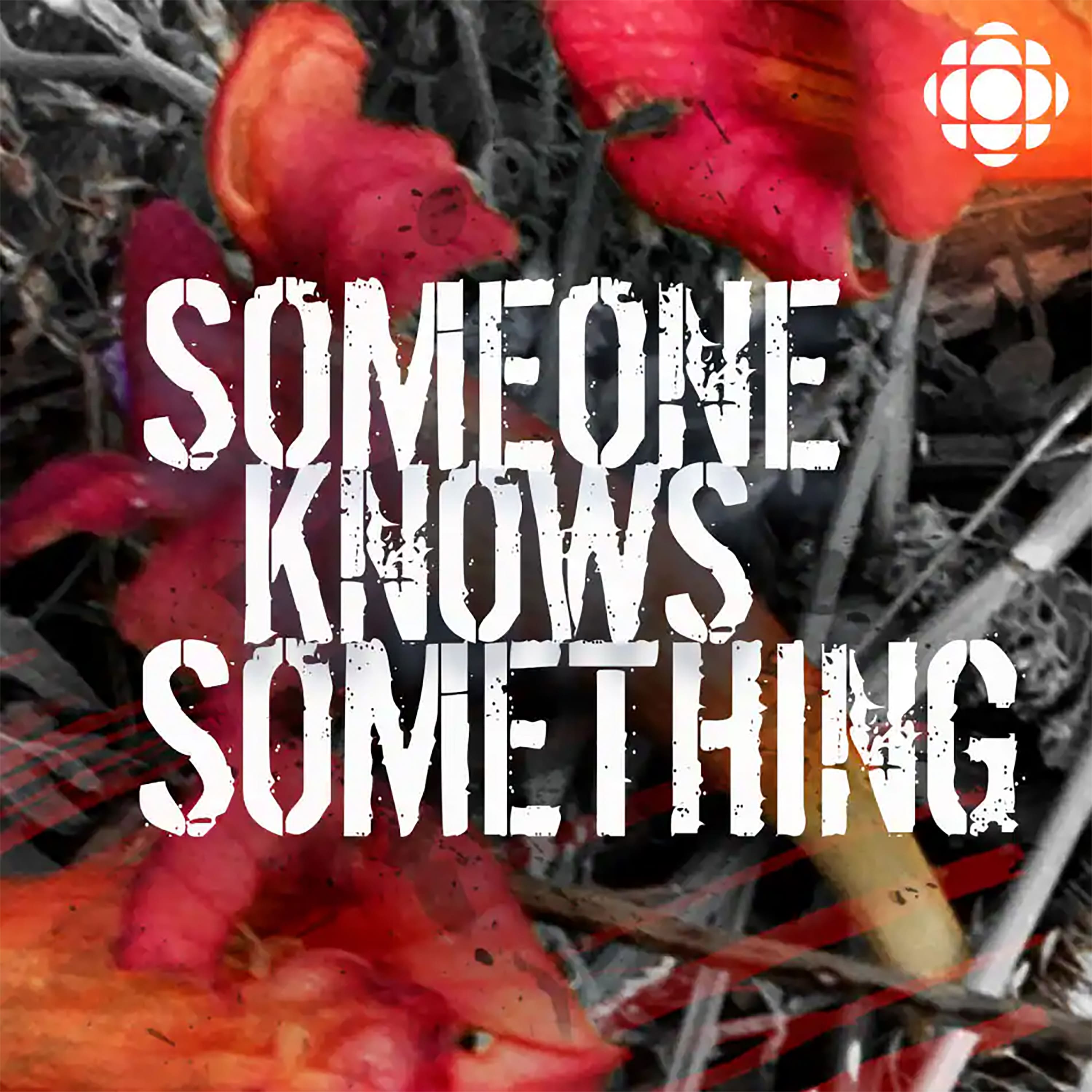 S28 Trailer | Someone Knows Something: Dee & Moore
