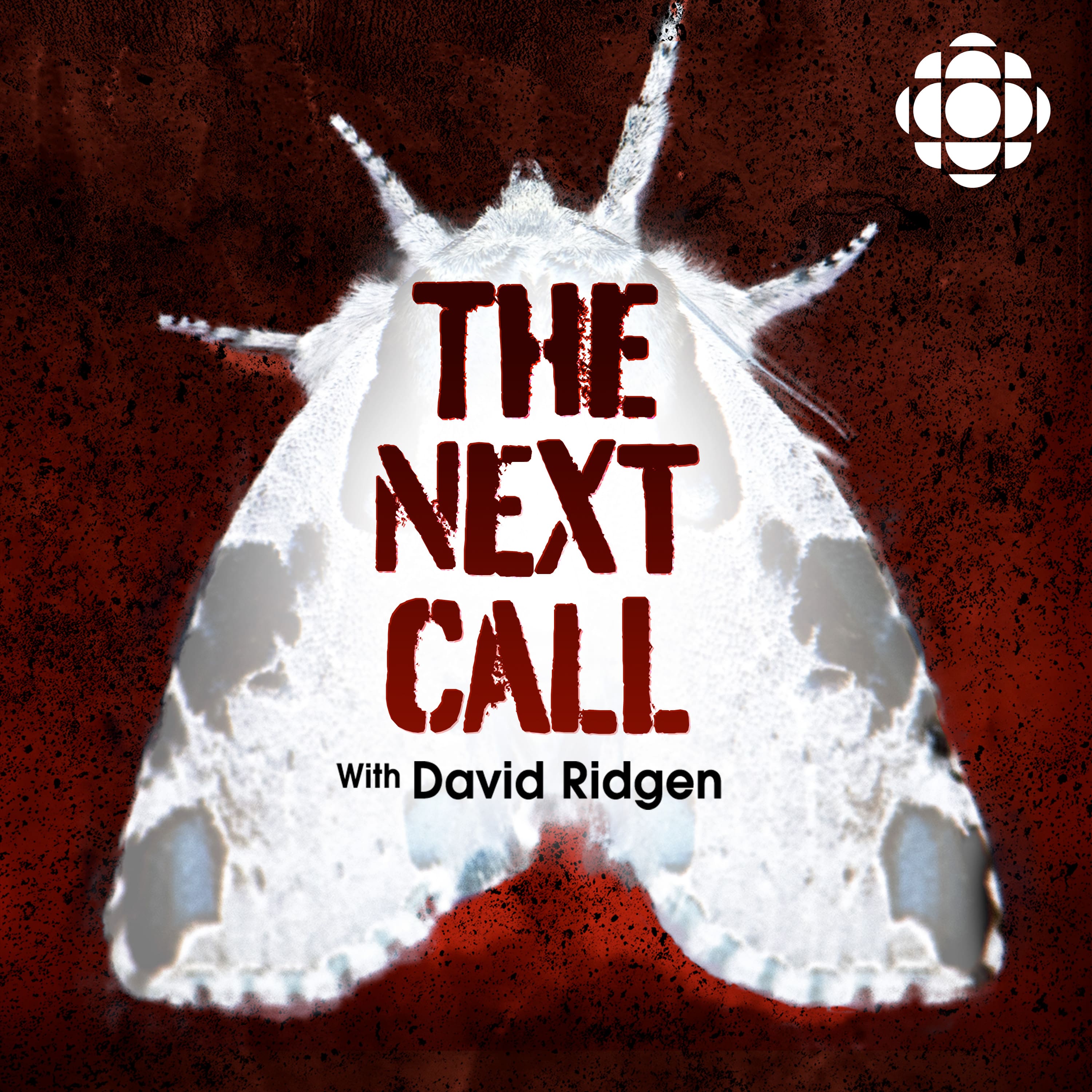 The Next Call with David Ridgen: Episode 4 in the case of Terrie Dauphinais (UPDATE)