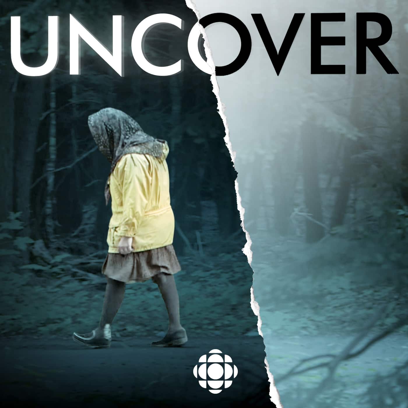 S4 "The Cat Lady Case" E1: Silhouettes