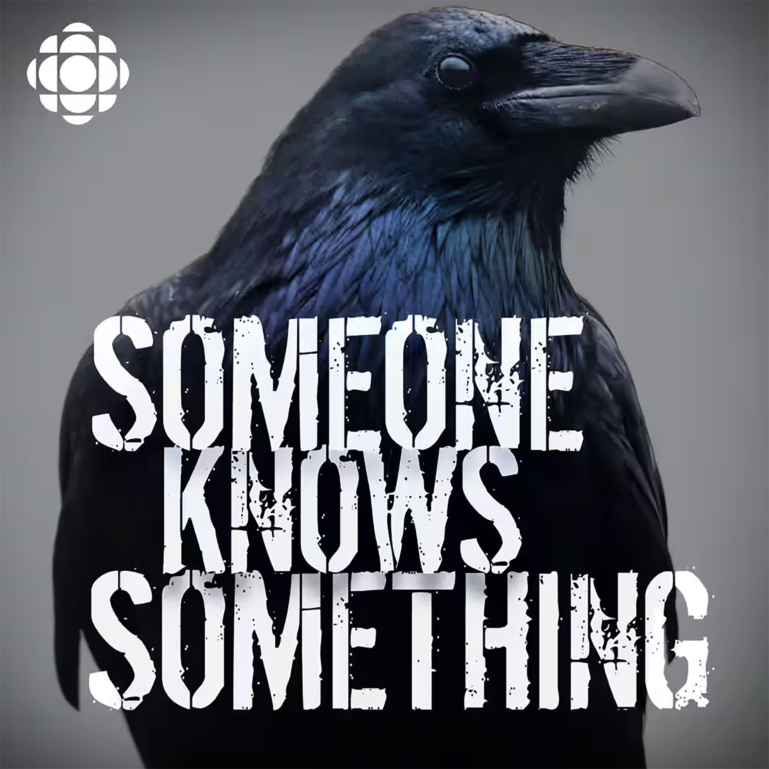 SKS S5 Extra: Spread the Word