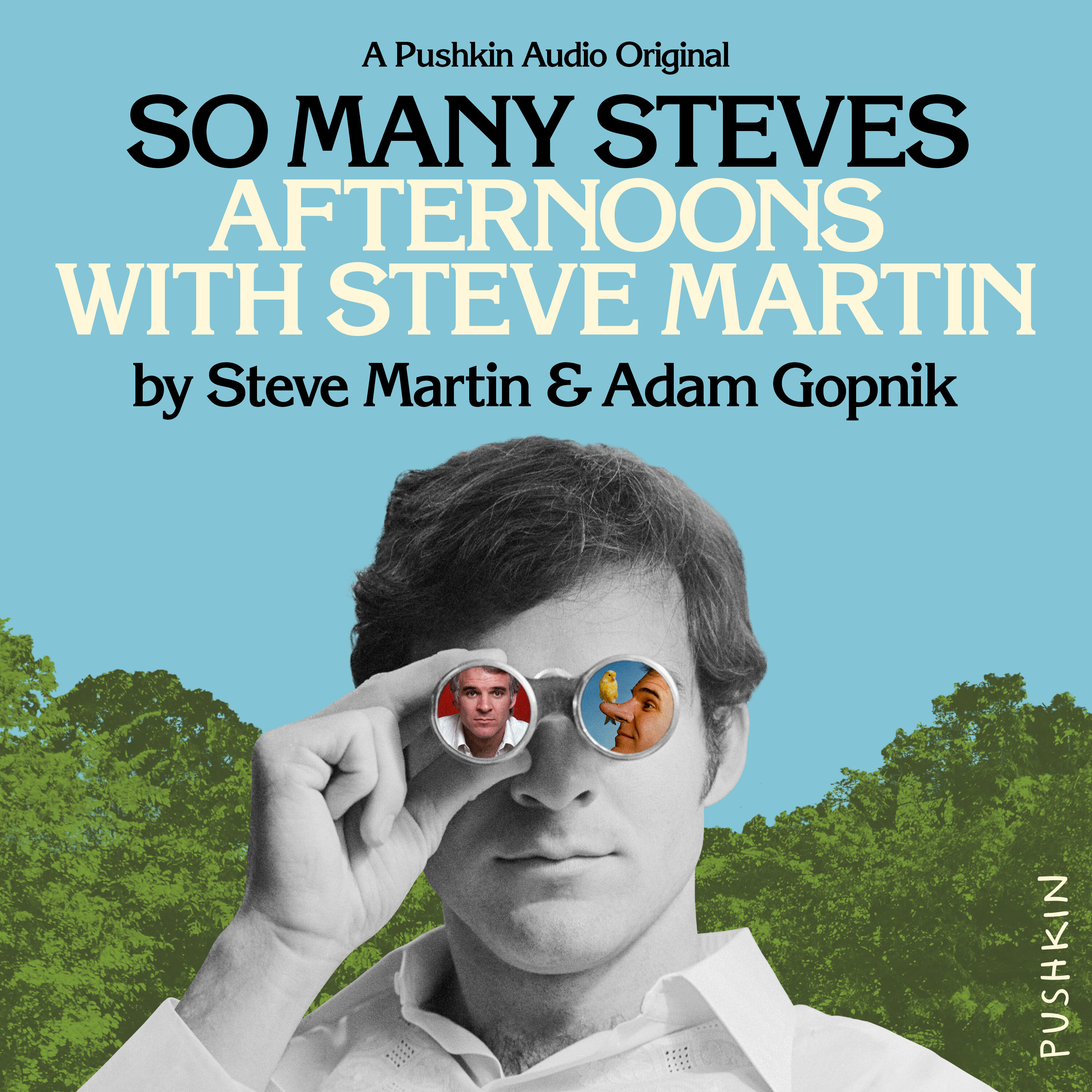 Introducing: So Many Steves, A New Audiobook from Steve Martin and Pushkin by Pushkin Industries