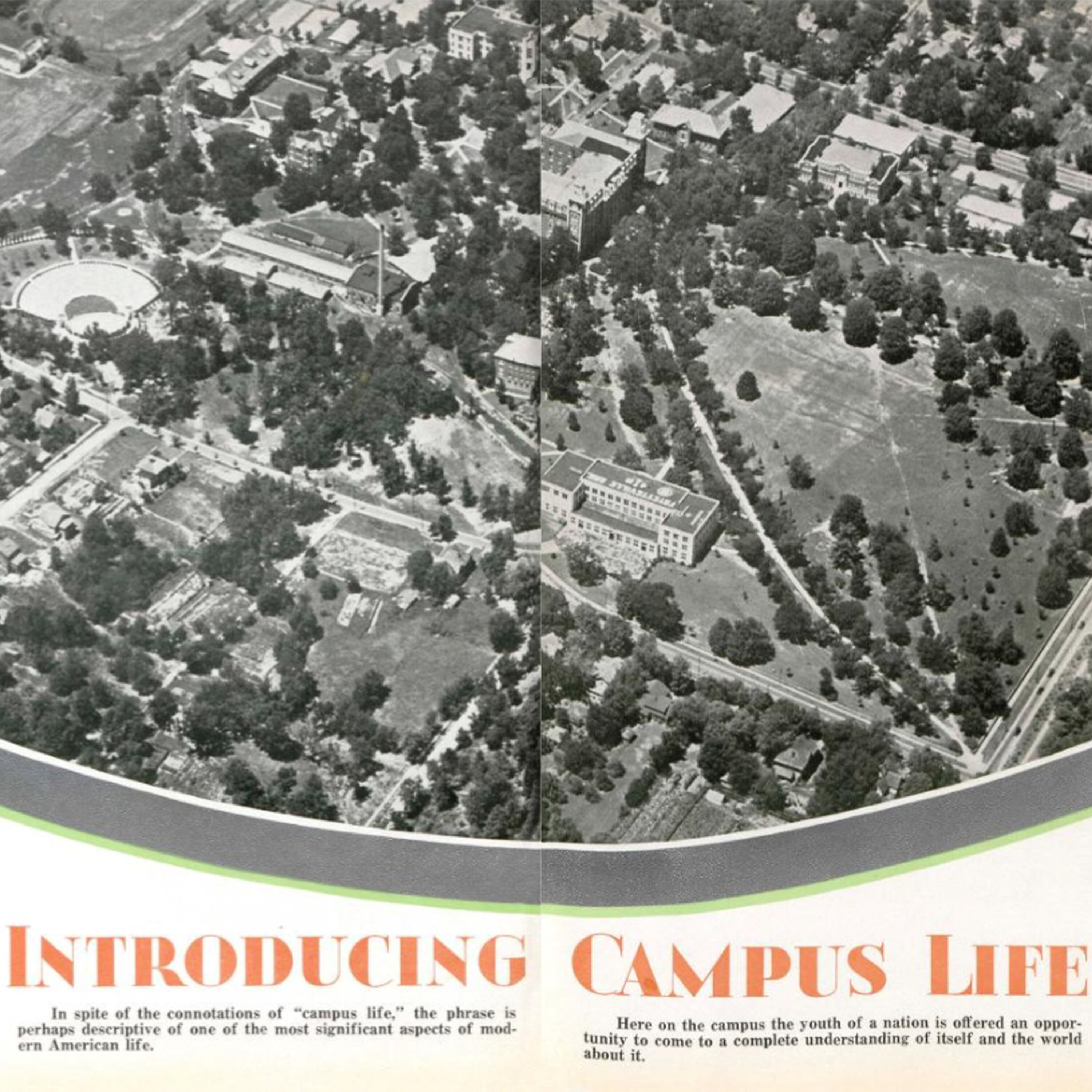 Hitler’s Olympics, Part 8: “Vater, It is to be Fayetteville” by Pushkin Industries