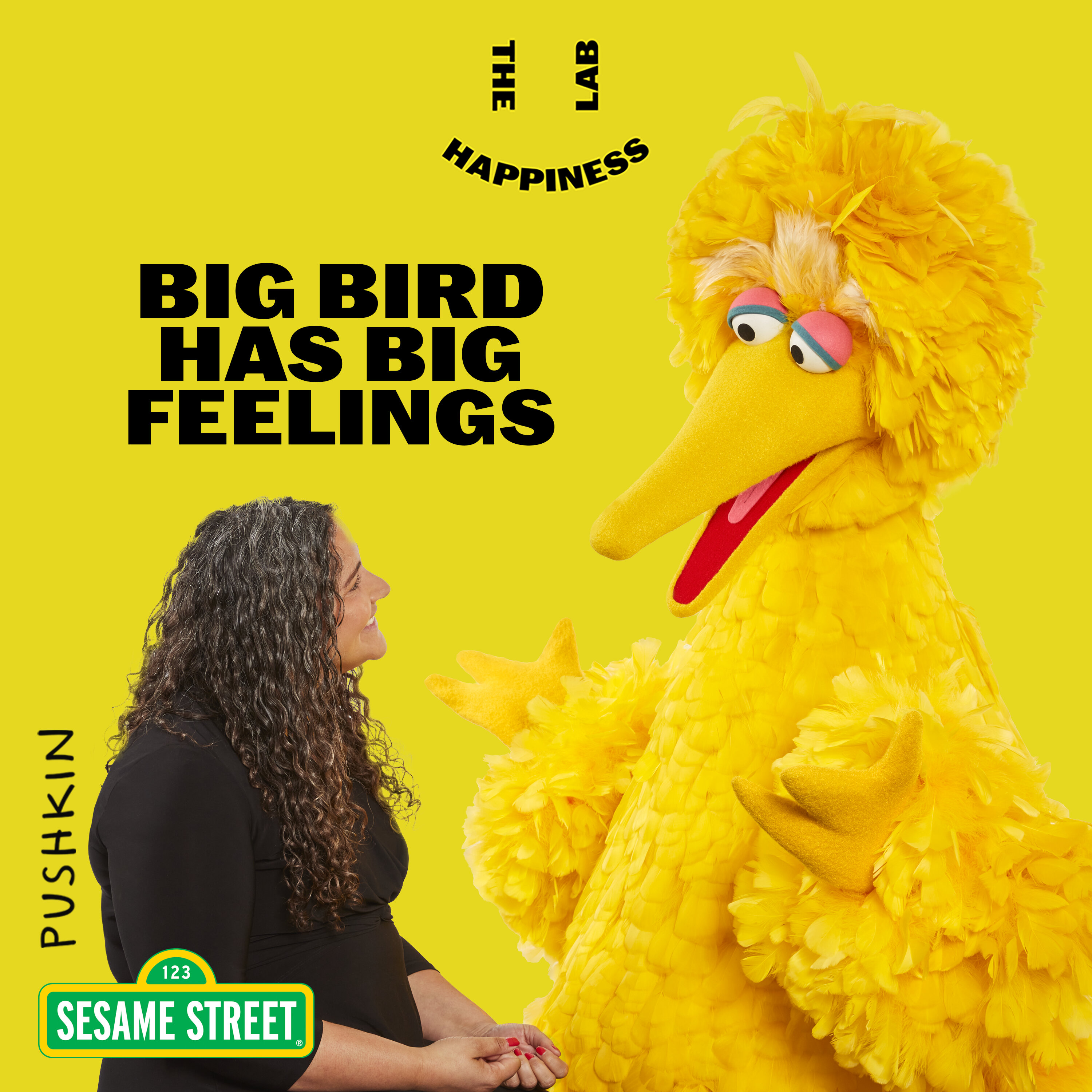 Big Bird Has Big Feelings by Pushkin Industries